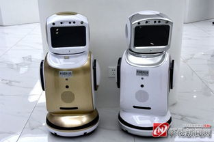 懷化經(jīng)開區(qū) 利碩科技智能電子產(chǎn)品走進非洲 供不應求 大量需要工人